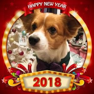 Meet your Posher, Eva